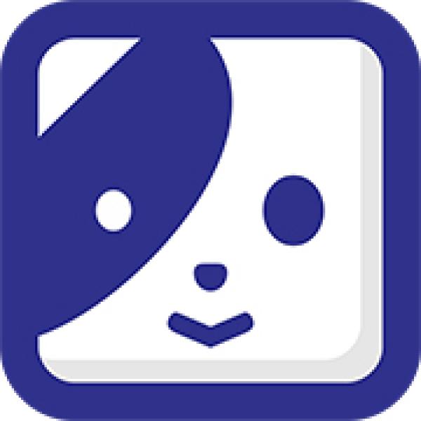 数字化时代的全球获客新引擎：四大策略引爆精准流量与业绩增长